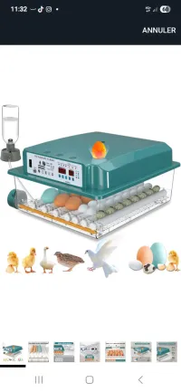 COUVEUSE AUTOMATIQUE OISEAUX CANARD.....