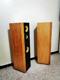 Focal JMlab Spectral 908.1 la quintessence de l'audio haute fidélité
