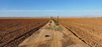 terrain-agricole-vente-msila-zerarka-algerie