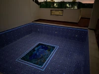 Fourniture et Pose des Piscines 