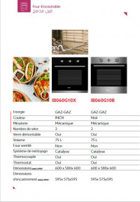 fours-et-micro-onde-iris-four-ibo60m10x-inox-gaz-electrique-mixte-hussein-dey-alger-algerie