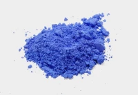 ULTRAMARINE BLEU / VIOLET