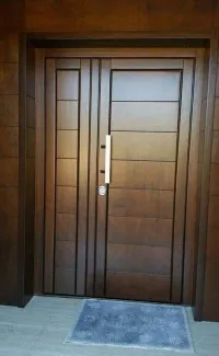 Porte d'entrée en style moderne 