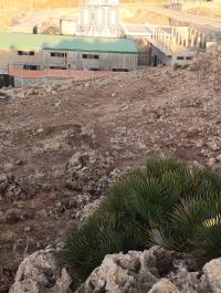 أرض-بيع-تلمسان-تيرني-بني-هديل-الجزائر