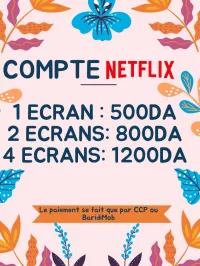 COMPTE NETFLIX
