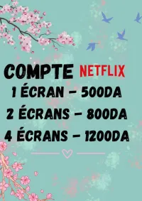 COMPTE NETFLIX 