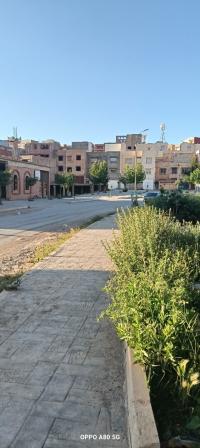 أرض-بيع-تلمسان-المنصورة-الجزائر