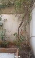 duplex-vente-f4-blida-algerie