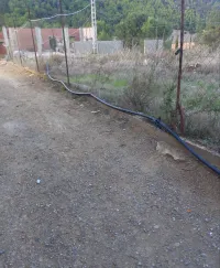 Vente Terrain Tipaza Cherchell
