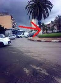 شقة-بيع-4-غرف-وهران-الجزائر