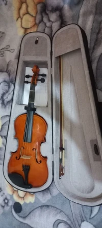 Violon