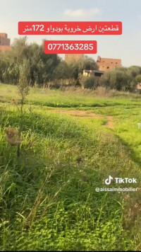 terrain-vente-boumerdes-el-kharrouba-algerie