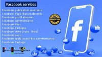 applications-logiciels-service-reseaux-sociaux-relizane-algerie