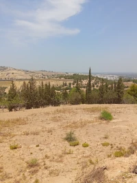 Vente Terrain Blida El affroun