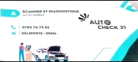 Scanner et Diagnostique tout types de Véhicule 