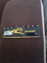 Ram 8GB panther