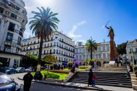 local-location-alger-centre-algerie