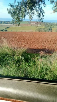 Terrain Agricole EAC HAK IMTIAZ 