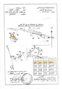أرض-بيع-الطارف-بريحان-الجزائر