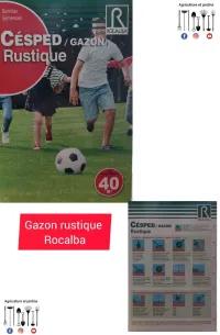 Gazon rustique rocalba