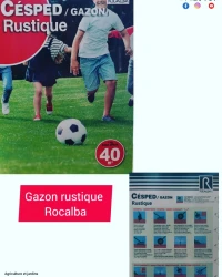 semences de gazon rustique 