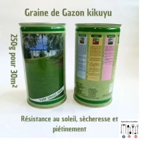 Semences Gazon Kikuyu