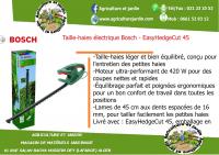 jardinage-taille-haie-bosch-electrique-hussein-dey-alger-algerie