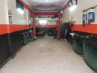  montage et réparation pare brise