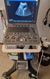 Échographe Doppler portable Sonoscape S8 expert avec sonde de convexe et chariot en excellent état 