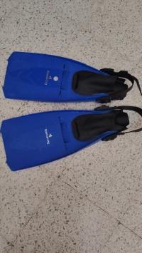 Les palmes a vendre
