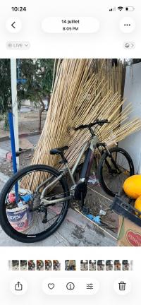 دراجات-هوائية-velo-electrique-la-pierre-etat-tres-bon-بوفاريك-البليدة-الجزائر