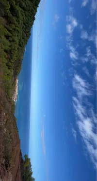 Vente Terrain Tipaza Tipaza