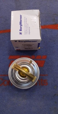 THERMOSTAT  BMW 