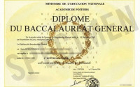 ecoles-formations-preparation-bac-francais-2024-el-mouradia-alger-algerie