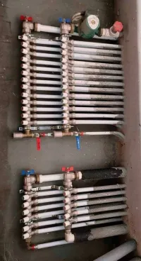 بلومبي عام