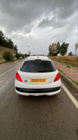 voitures-peugeot-207-2012-medea-algerie