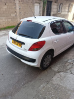 voitures-peugeot-207-2012-mila-algerie