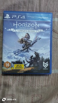Horizon zero down