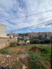 أرض-بيع-الجزائر-السحاولة