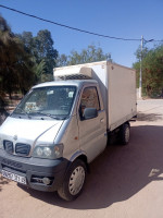 utilitaire-dfsk-mini-frigo-2011-230-ghardaia-algerie