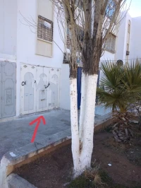 Vente Local Khenchela Khenchela