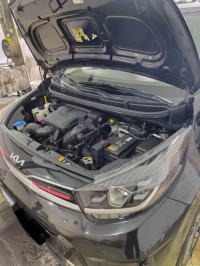 سيارات-kia-picanto-2022-nouvelle-عنابة-الجزائر
