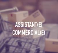 commercial-marketing-assistant-bordj-el-kiffan-alger-algeria