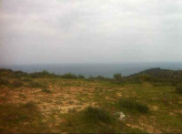 terrain-vente-annaba-chetaibi-algerie