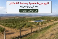 أرض-فلاحية-بيع-تلمسان-الرمشي-الجزائر