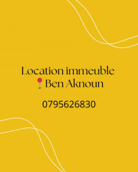 immeuble-location-alger-ben-aknoun-algerie