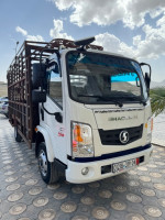 camion-shacman-2019-batna-algerie