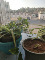 appartement-vente-f3-mostaganem-algerie