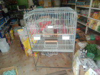 accessoire-pour-animaux-cage-perroquet-kolea-tipaza-algerie