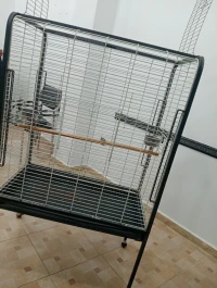Cage perroquet